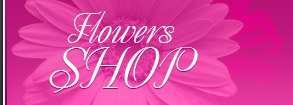 E-online shop