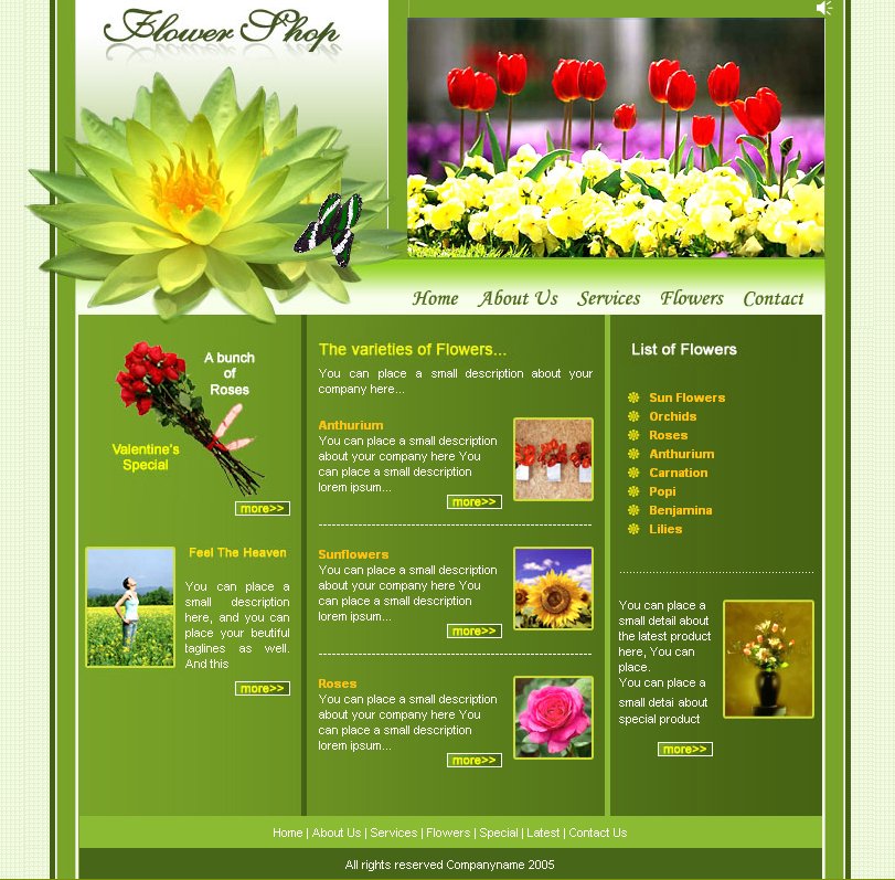 portfolio